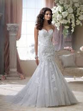 Load image into Gallery viewer, David Tutera 114293, Salon Sample